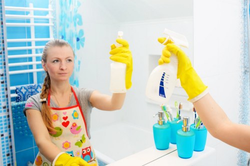 Professional pet stain and odour removal for Catford carpets