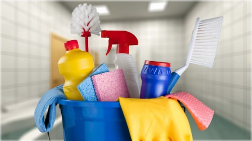 Local service for pet stain removal in Catford properties