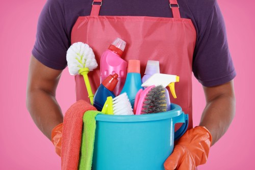 Regular cleaning for Catford homes and flats