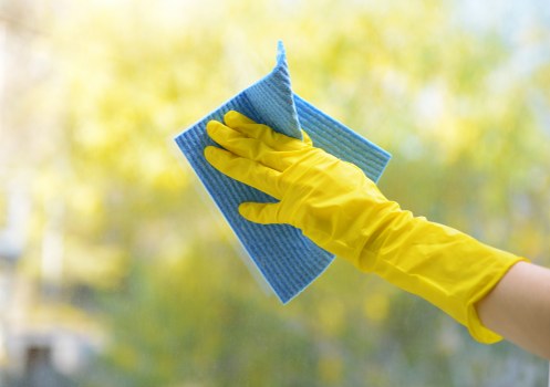 Professional move-in cleaning for a Catford home interior