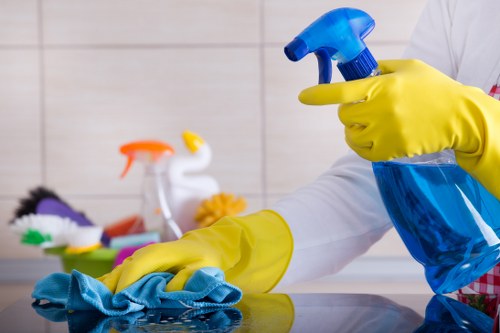 Professional mattress cleaning service for a home in Catford
