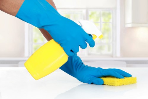 Family house carpet cleaning and quote estimate in Catford