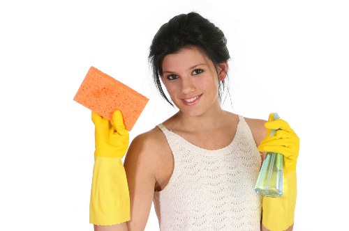 Upholstery cleaning equipment ready for a Catford appointment