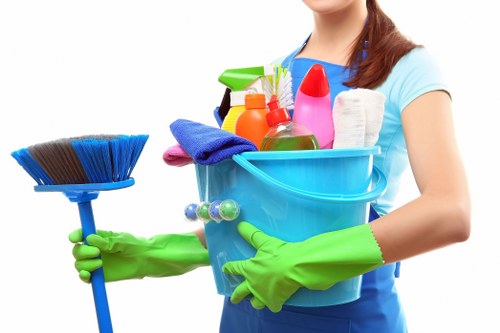 Local cleaning treatment for pet accidents in Catford homes