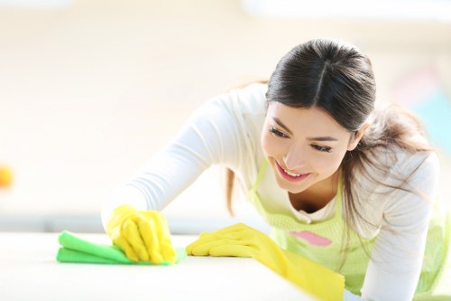 Screen reader support and accessible content for Catford carpet cleaners