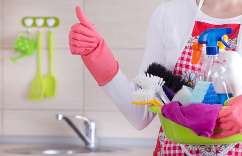 Mattress cleaning service for a rental property in Catford