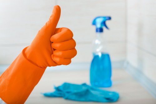 Local Catford cleaner working in a living room