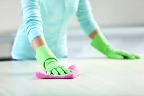 Deep cleaning support for a family home in Catford