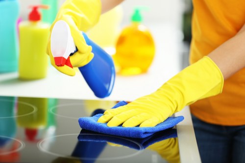 Local Catford cleaner preparing a residential deep clean