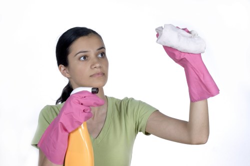 Preparation checklist and cleaning supplies for a move out clean in Catford