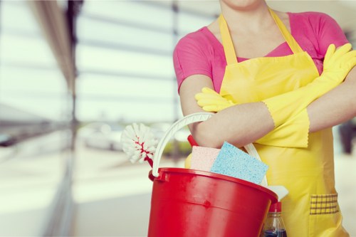 Regular house cleaning for a flat near Catford Bridge