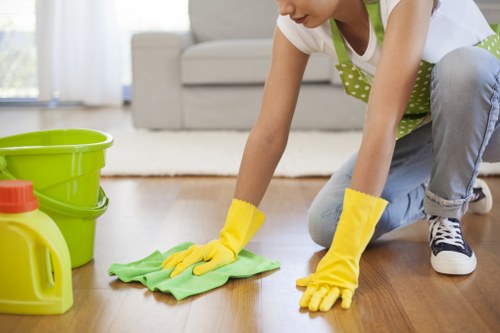Detailed carpet cleaning process in a Catford property