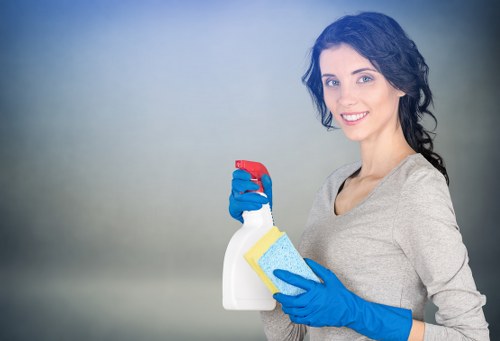 Catford rug cleaning for residential and commercial customers