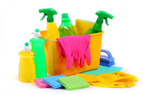 Cleaner working in a flat near Catford with attention to detail